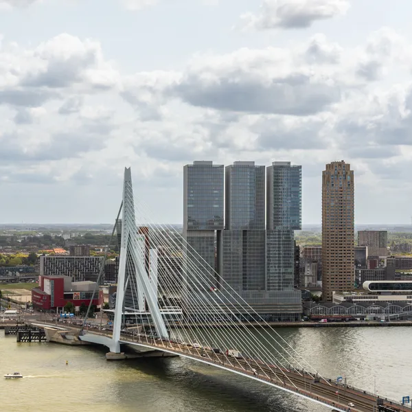 Erasmusbrug Rotterdam